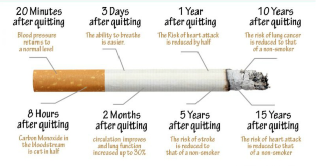 What Happens When You Stop Smoking Centered Recovery Programs 