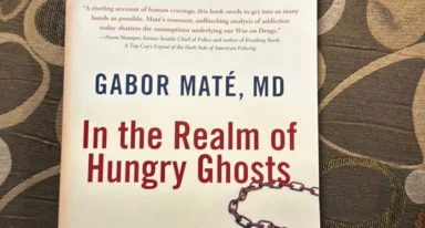 In the Realm of Hungry Ghost Gabor Mate Addiction Recovery