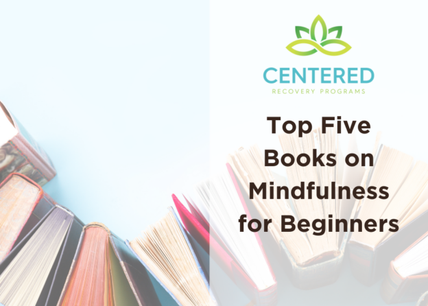 Top Five Books Mindfulness for Beginners