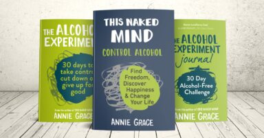 this naked mind addiction alcohol recovery book workbook