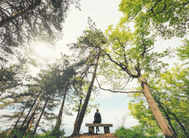 mindfulness therapy addiction recovery treatment