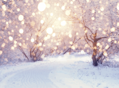 Brighter Winter with Red Light Therapy