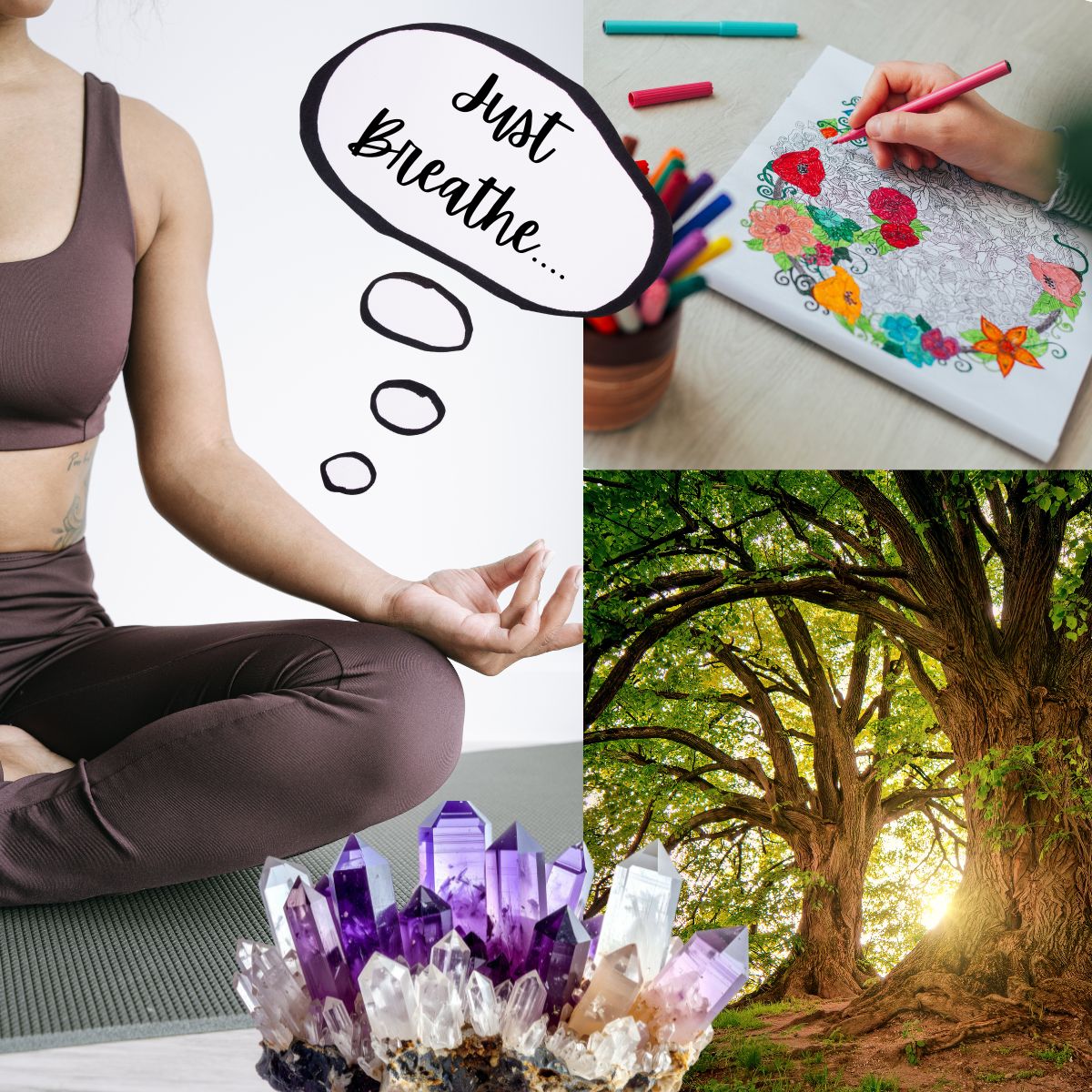 Why wouldn’t you choose mindfulness?